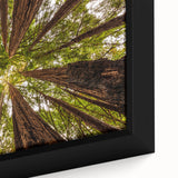 Extra large framed canvas featuring a textured depiction of California's Big Sur in black with colorful art accents.