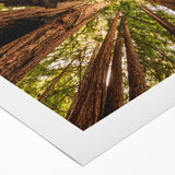 Art deco poster of California's Big Sur in pastel shades on rolled canvas, suitable for dining room wall art.