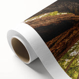 Art Deco poster of California's Big Sur coastline in soft pastel colors on rolled canvas, ideal for nursery wall art.