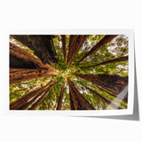 Rolled print of Big Sur scenery in muted earth tones, ideal for art wall dining room.