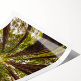 Extra large wall art featuring line art flowers in muted earth tones on rolled print, suitable for large living room decor.