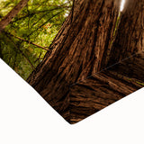 Black and white landscape art painting of Big Sur on stretched canvas, ideal for bedroom wall decor.