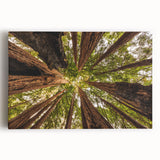 Black and white photograph of Big Sur coastline on stretched canvas, suitable for kitchen wall art.