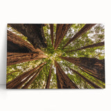 Black and white photo of Big Sur on stretched canvas, ideal for kitchen wall art or bedroom ambiance.