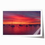 Extra large rolled print of Catalina, California scenery with vibrant floral accents, ideal for art wall dining room.