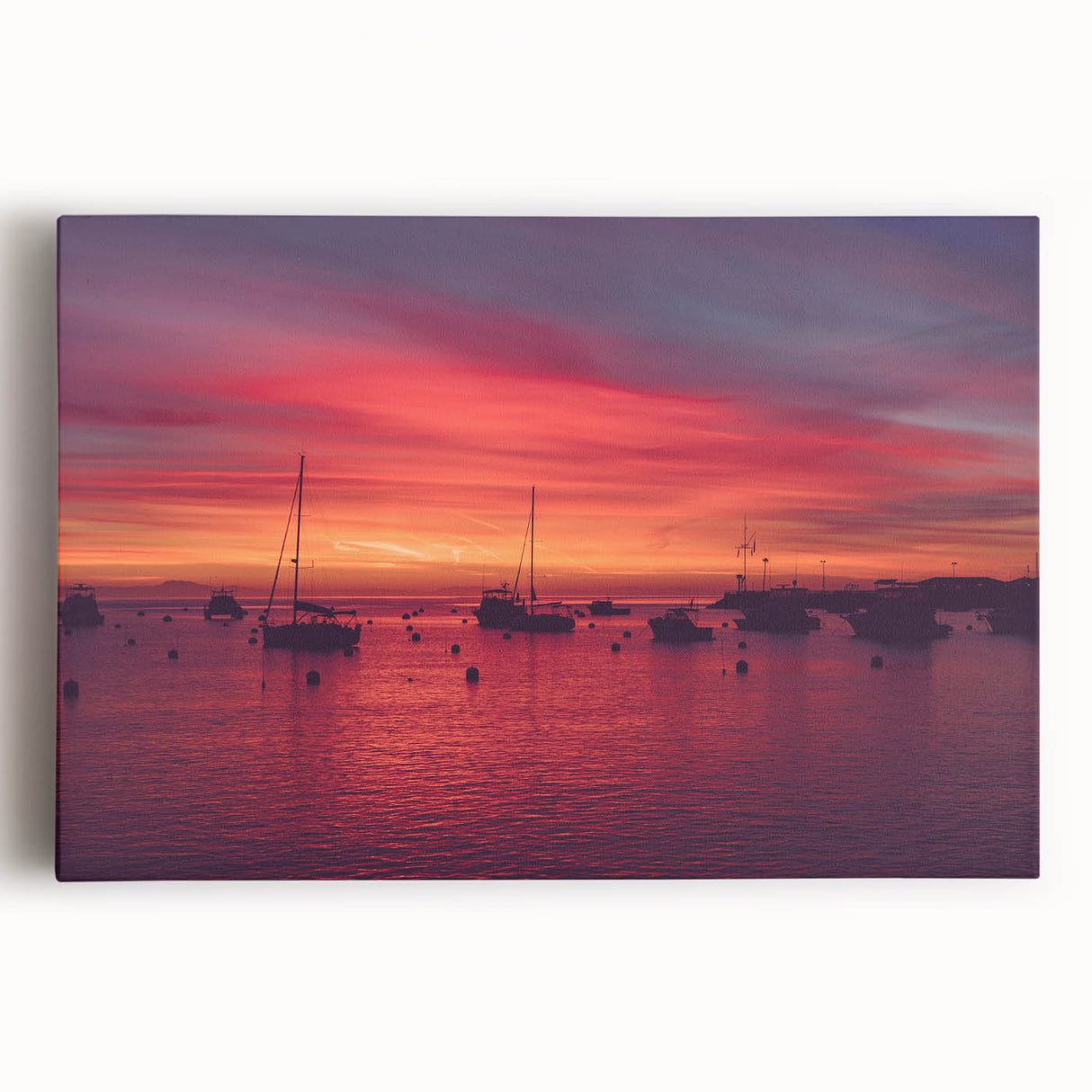 Black and white stretched canvas of Catalina Island scenery, ideal for kitchen art.