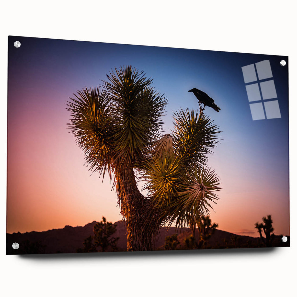 Acrylic print of Joshua Tree landscape in muted earth tones, suitable for bedroom or dining room decor.