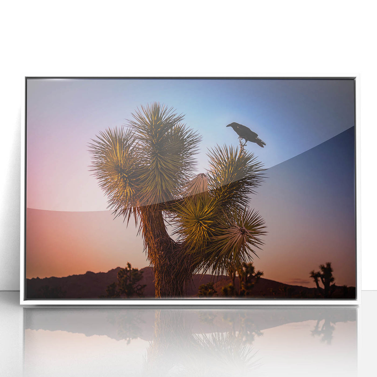 Acrylic print of Joshua Tree scenery in muted earth tones, framed in white, suitable for modern art wall decor.