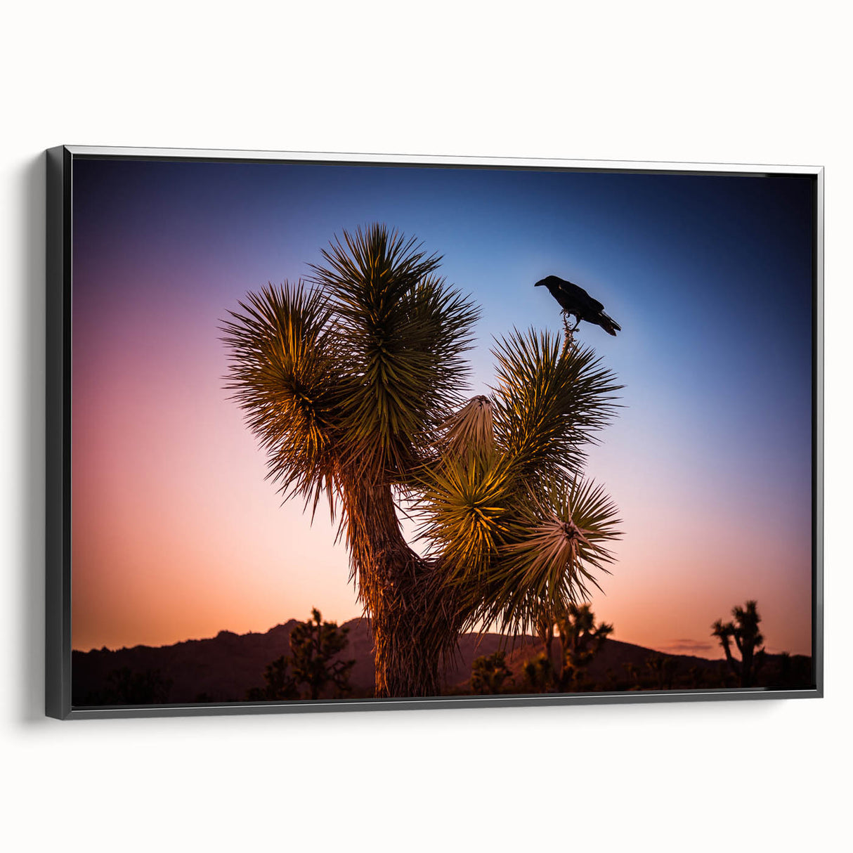 Black and white framed canvas of Joshua Tree landscape, ideal for bedroom wall art.