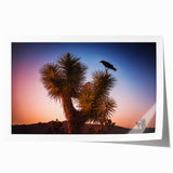 Joshua Tree landscape in muted earth tones on a large rolled canvas, suitable for art wall dining room.