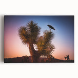 Black and white photograph of Joshua Tree on stretched canvas, ideal for kitchen wall art.