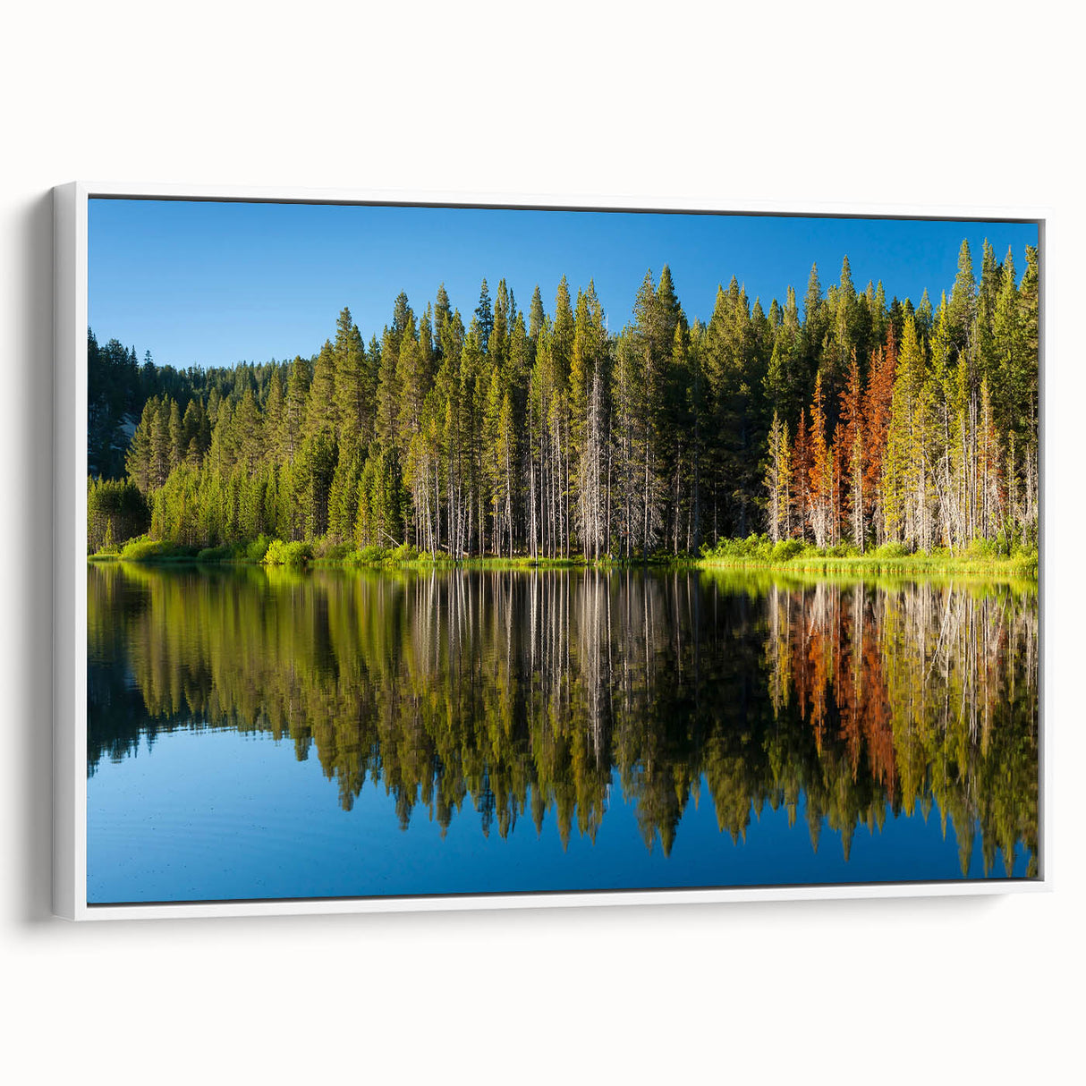Vintage poster art of Lake Tahoe with vivid blue and green tones on a large framed canvas, suitable for living room decor.