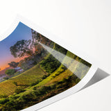 Extra large wall art featuring line art flowers in muted earth tones on a rolled print, suitable for large living room decor.