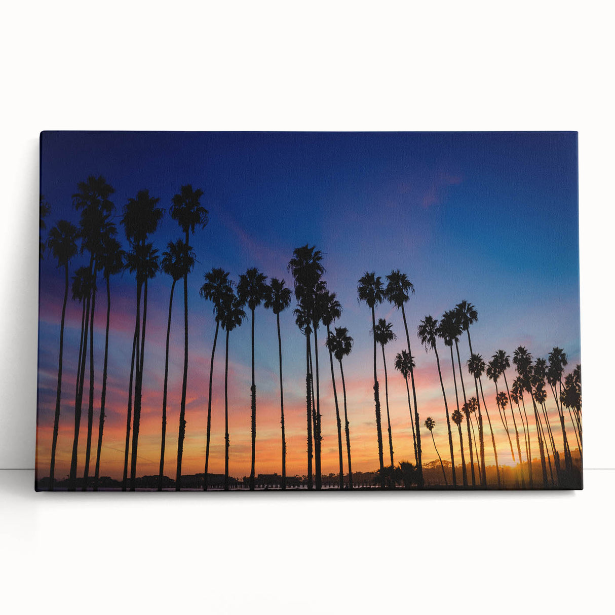 Black and white stretched canvas of Santa Barbara scenery, ideal for kitchen wall art or bedroom ambiance.