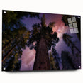 Acrylic print of Sequoia landscape in natural green and brown tones, suitable for bedroom or dining room decor.