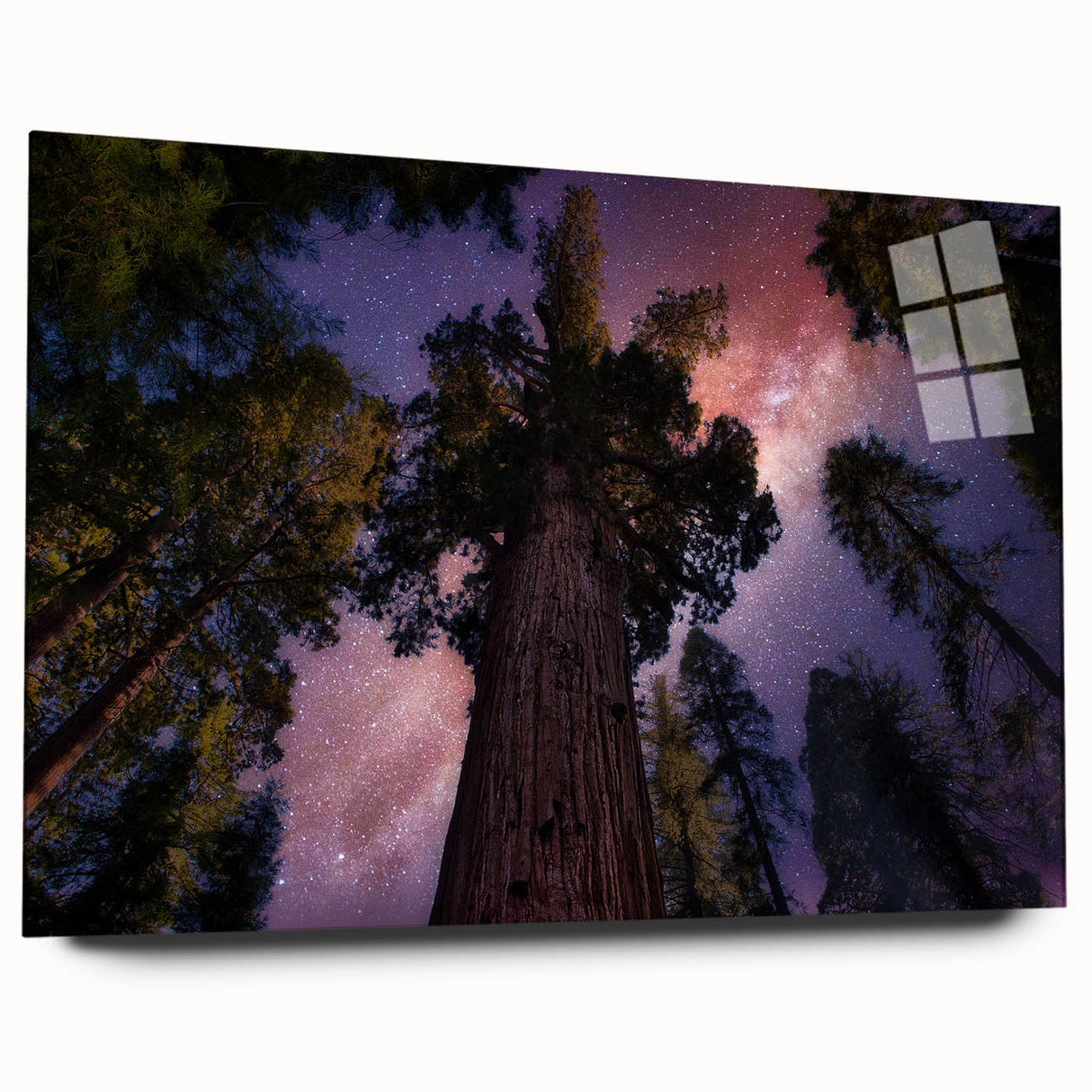 Large abstract wall art of California's Sequoia trees in muted earth tones on acrylic glass.