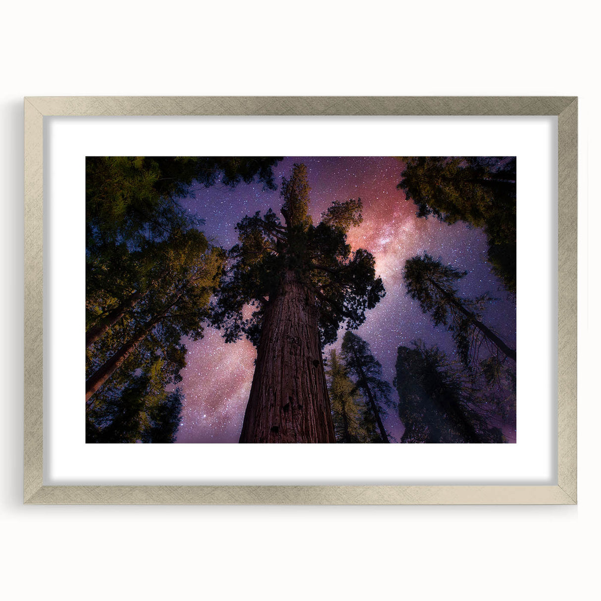 Textured art print of abstract California sequoia trees in muted earth tones on a silver-framed mat, ideal for bedroom decor.