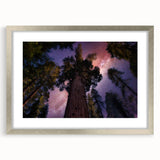 Textured art print of abstract California sequoia trees in muted earth tones on a silver-framed mat, ideal for bedroom decor.