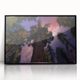 Large abstract wall art depicting a Sequoia forest in muted earth tones on a framed acrylic, ideal for modern art wall decor.