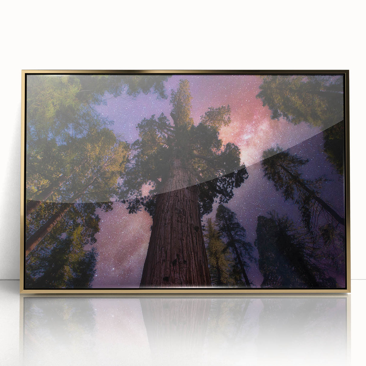 Framed acrylic print of a California sequoia landscape in mid-century modernist style, suitable for modern art wall decor.
