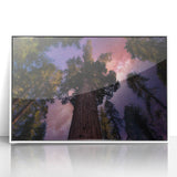 Art deco poster of Sequoia trees in muted greens and browns on framed acrylic, ideal for modern nursery wall art.