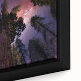 Close-up of a textured black wall art featuring a vibrant sequoia tree, framed canvas, ideal for living room decor.