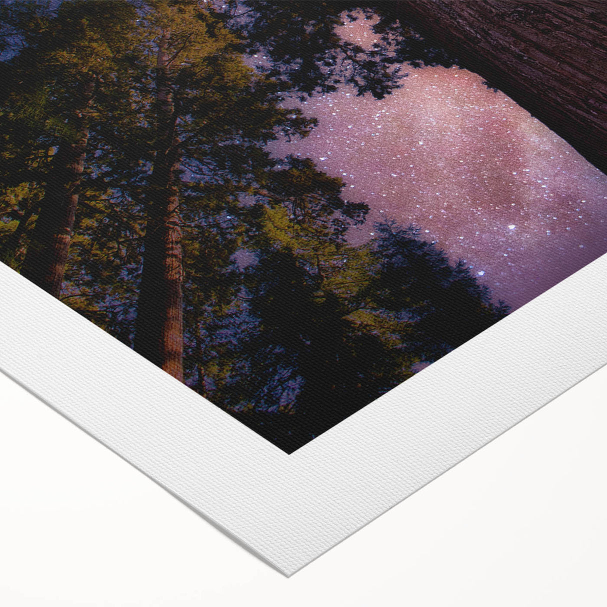 Art deco poster featuring a serene California sequoia landscape in soft green and brown tones on rolled canvas.