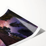 Extra large wall art featuring a line art design of sequoia trees in black on white rolled print.