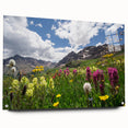 Acrylic print of a Colorado Aspen landscape in muted earth tones, ideal for dining room decor.