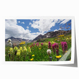 Extra large rolled print of Aspen, Colorado scenery with vibrant autumn colors, ideal for art wall dining room.