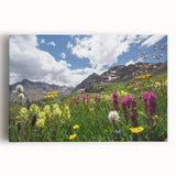 Black and white photo of Aspen trees on stretched canvas, ideal for kitchen wall art.