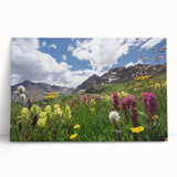 Black and white photo of Aspen trees on stretched canvas, ideal for kitchen wall art or bedroom ambiance.