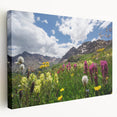 Large canvas print of Aspen, Colorado scenery with vibrant autumn colors, ideal for kitchen wall art.