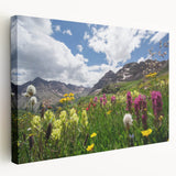 Large canvas print of Aspen, Colorado scenery with vibrant autumn colors, ideal for kitchen wall art.