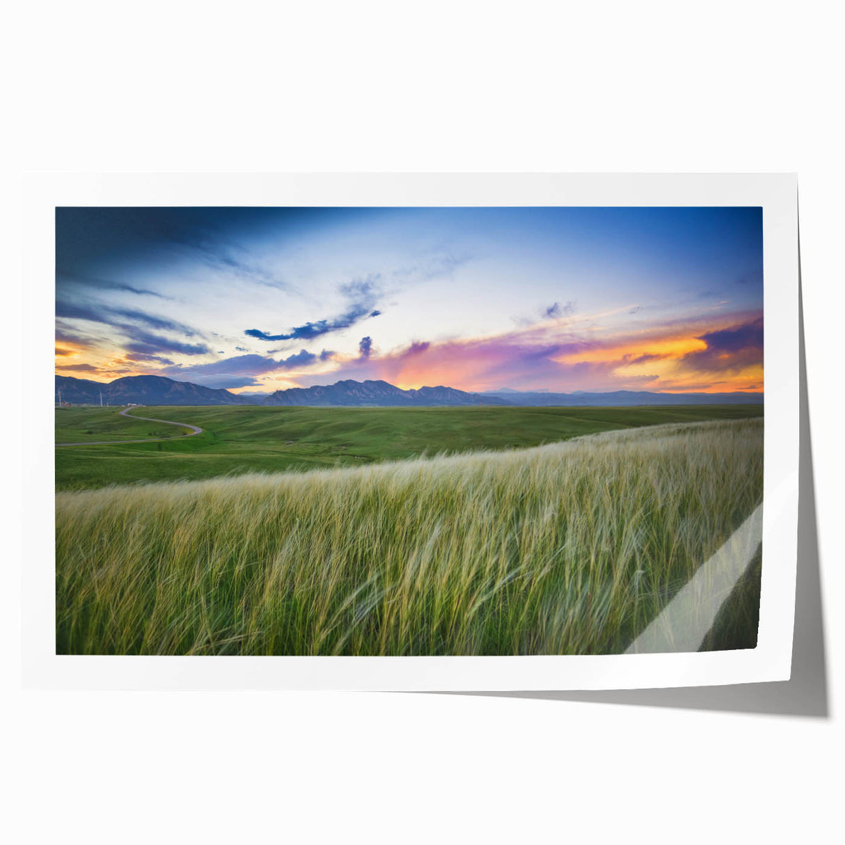 Extra large rolled print of Boulder, Colorado scenery with vibrant floral elements, ideal for art wall dining room.