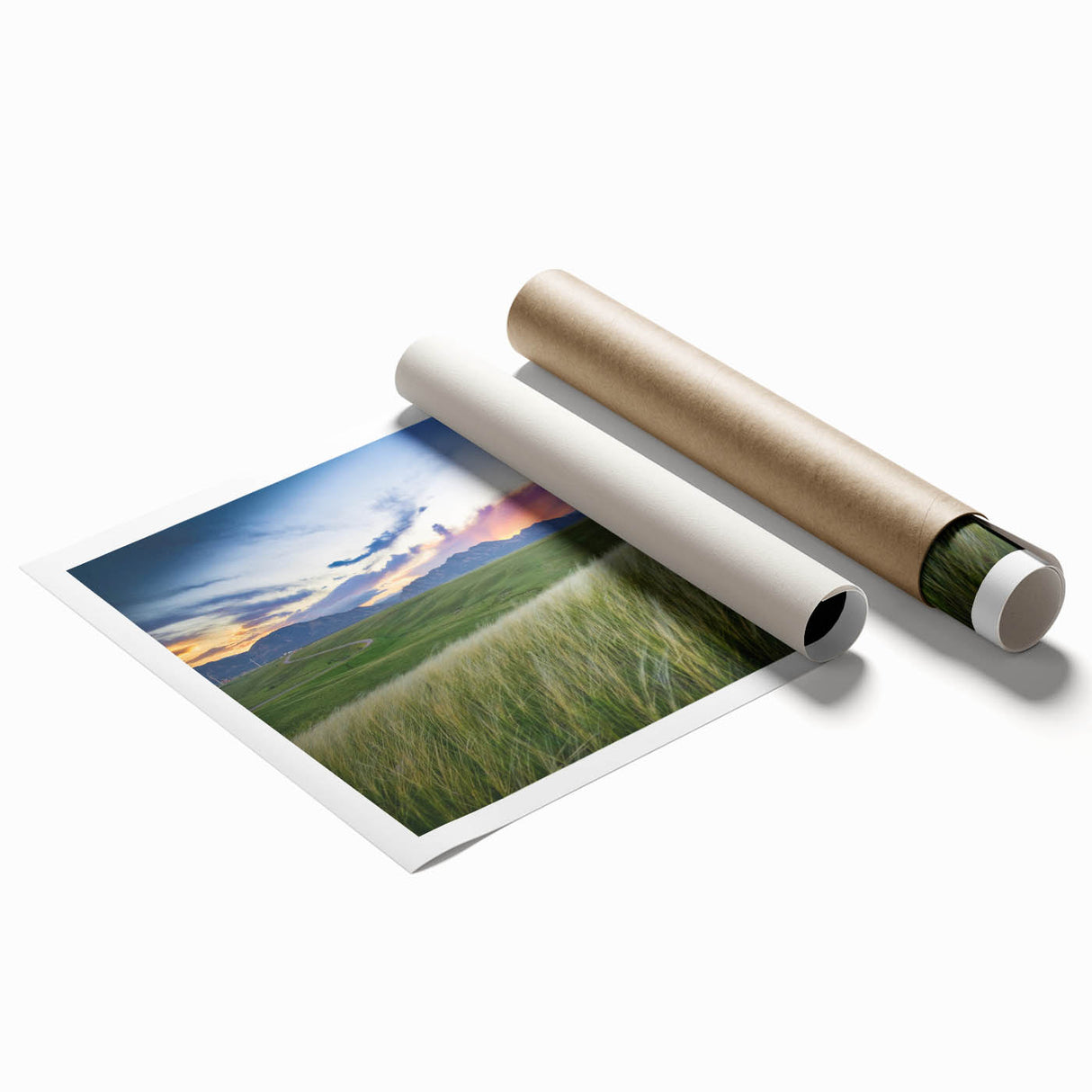 Extra large rolled print of Boulder, Colorado scenery with vibrant floral elements, ideal for classy bathroom wall art.