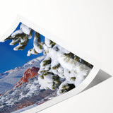 Extra large wall art featuring line art flowers in soft monochrome, printed on rolled canvas.