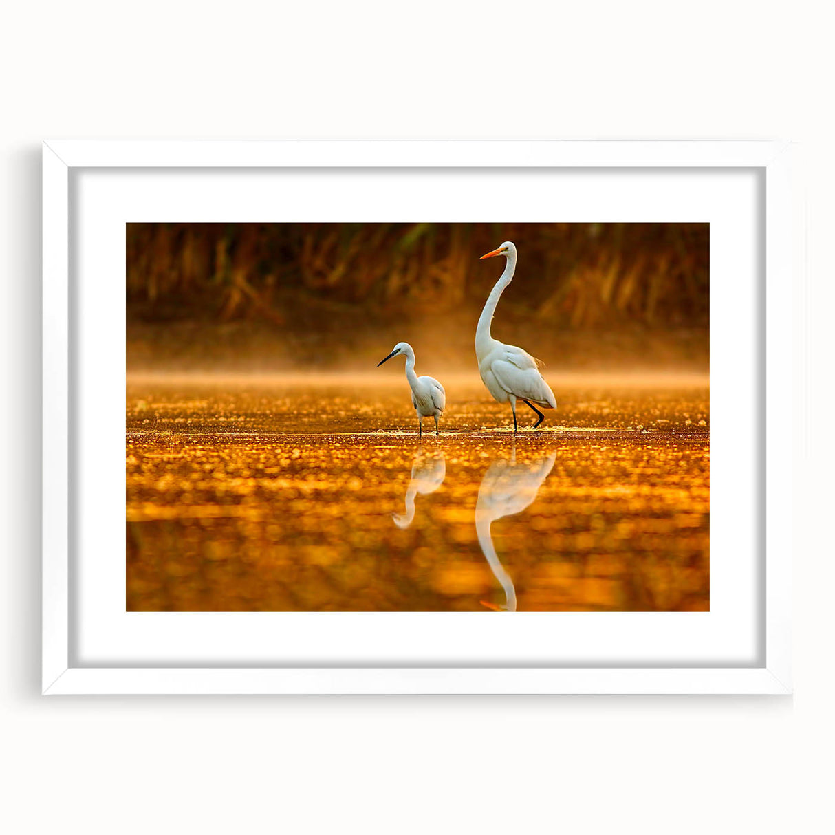 Abstract art print of the Everglades in muted green and blue tones on a framed white mat.