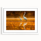 Abstract art print of the Everglades in muted green and blue tones on a framed white mat.