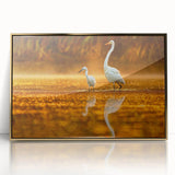 Framed acrylic print of the Everglades with lush greenery and water, in a mid-century modernist style.