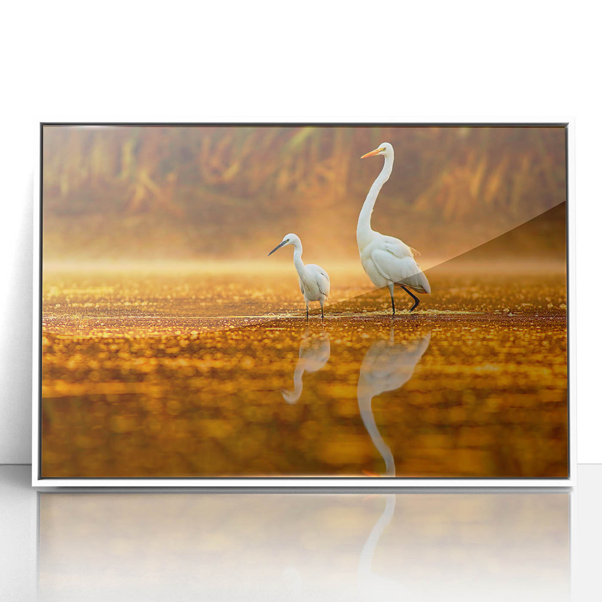 Acrylic print of Everglades scenery with muted green and blue tones in an art deco style, suitable for modern nursery decor.