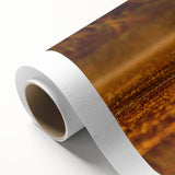 Art deco poster depicting the Everglades with vibrant green and blue tones on rolled canvas, ideal for nursery wall art.