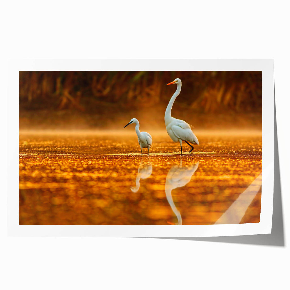 Everglades landscape print on rolled canvas, featuring lush greenery and water in muted earth tones.
