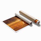 Extra large rolled print of Everglades scenery with lush greenery and water.