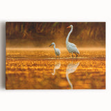 Black and white photograph of the Everglades on a stretched canvas, suitable as large kitchen wall art.