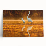 Black and white photograph of the Everglades on stretched canvas, suitable as large kitchen or bedroom wall art.