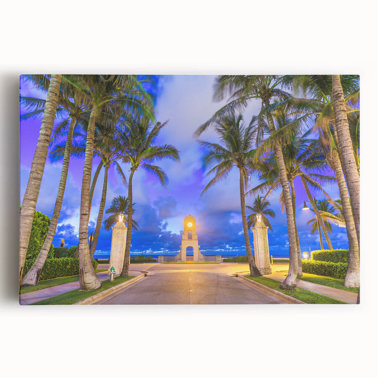 Black and white photographic print of Palm Beach on stretched canvas, suited for kitchen wall art.