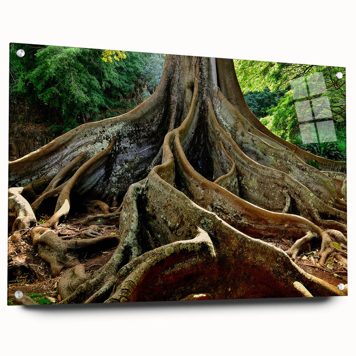 Acrylic print of Kauai landscape in vibrant green and blue tones, ideal for bedroom or dining room decor.