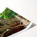 Extra large wall art featuring line art flowers in muted green and beige tones on rolled canvas.