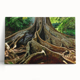 Black and white photo of Kauai landscape on stretched canvas, ideal for kitchen wall art or bedroom ambiance.